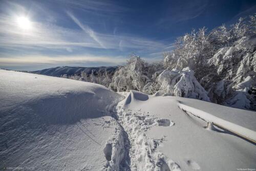 img-0623a10d878039accf36b0bcd6028767-v