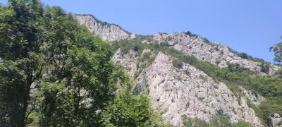 IMG 20220723 131309