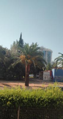 IMG 20220725 091957-2