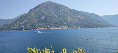 IMG 20220725 104608
