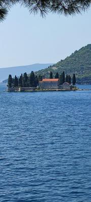 IMG 20220725 112317