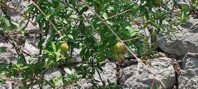IMG 20220725 125032