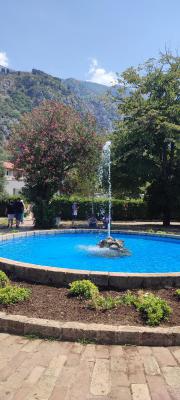 IMG 20220725 132659