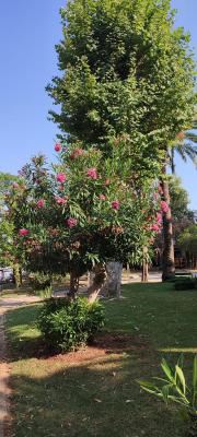 IMG 20220725 171146