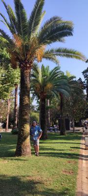 IMG 20220725 171347