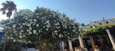 IMG 20220725 171953