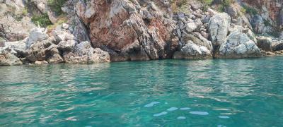 IMG 20220727 125902