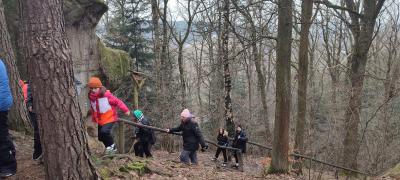 IMG 20230214 101233