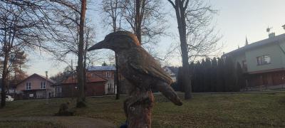 IMG 20230215 162751