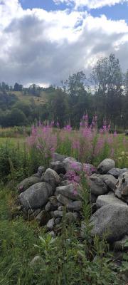 zakopane5