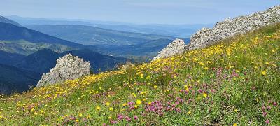 zakopane7