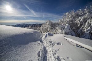 img-0623a10d878039accf36b0bcd6028767-v